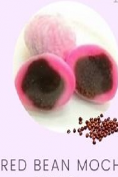 Red Bean Mochi