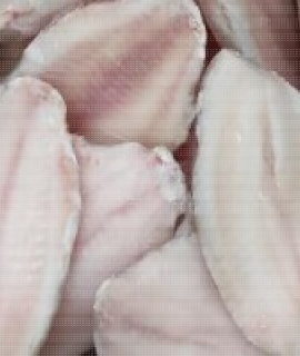 Tilapia Fillet 5-7oz