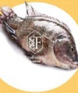 Frozen Black Tilapia