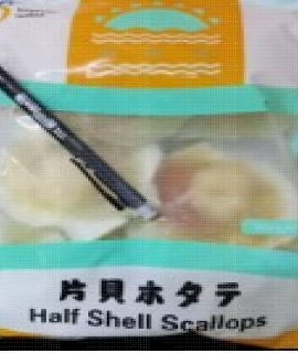 Frozen Half Shell Scallop